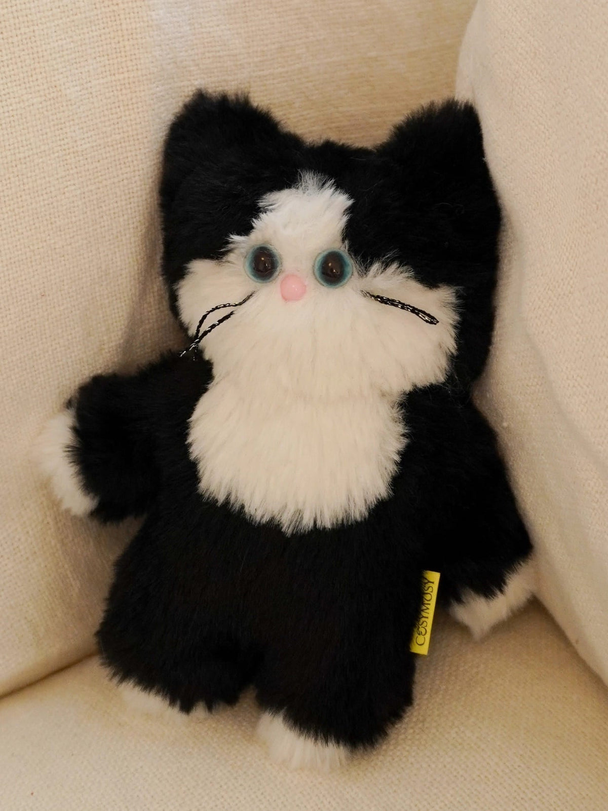 Custom Cat - Regular